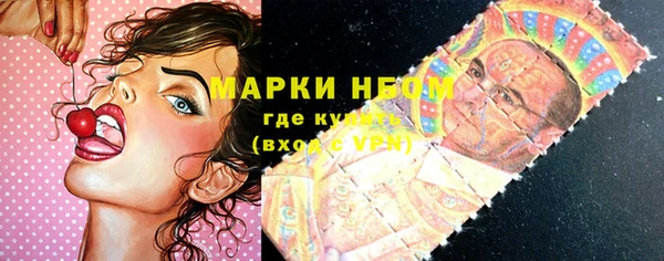 винт Алзамай