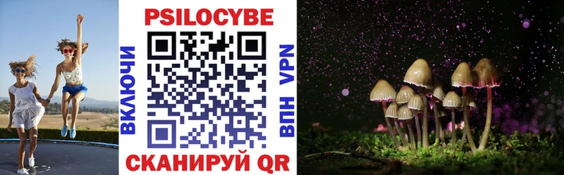 Галлюциногенные грибы Magic Shrooms  Донецк 