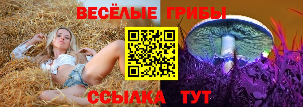 Псилоцибиновые грибы ЛСД  как найти закладки  Вход с VPN  Донецк  Галлюциногенные грибы мухоморы 